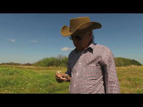 Don Felipe Muñiz -  Cuando Me Vaya