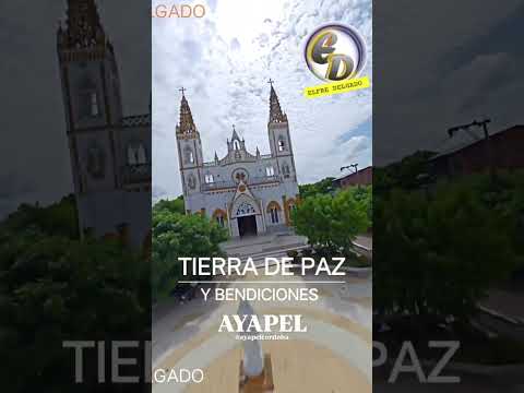 Ayapél Córdoba #noticias #ligamx #futbol #petro #noticia #tendencia #naveespacial #deportes #music