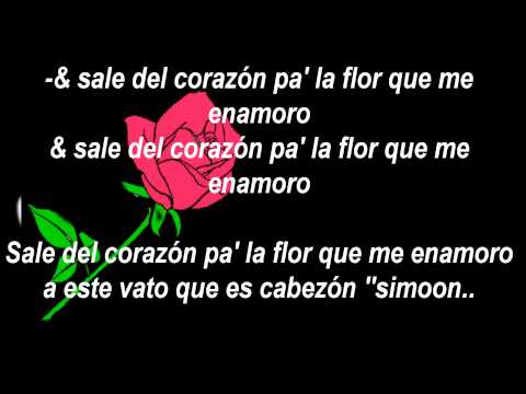 download lagu mp3 mp4 La Rosa Under Side Letra, download lagu La Rosa Under Side Letra gratis, unduh video klip La Rosa Under Side Letra