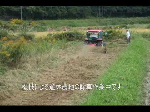 動画サムネイル