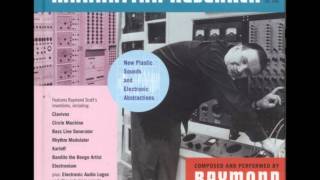 Raymond Scott - IBM Probe