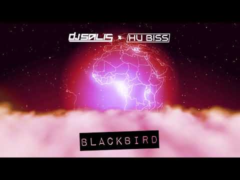 DJ SALIS x HU BISS - BLACKBIRD