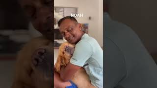 Happiness is warm puppy😍