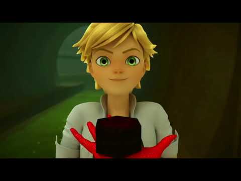 Ladybug & Cat Noir or Felix the cousin..