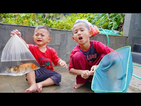 AZAM GIVES EMIL A BIG KOI FISH 😱 SCOOPS THE KOI FISH IN THE POND