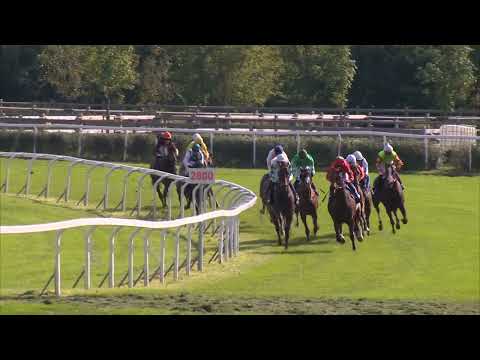 CH - 24. 9. 2022 - 2. dostih - CENA DERBY CLUBU PRAGUE