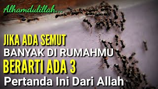 Download lagu MASYAALLAH !! Jika Banyak Semut Di Rumahmu, Ada 3 Pertanda Dari Allah, Jangan Sampai Di Bunuh mp3