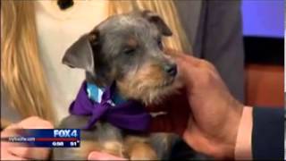 Thunder visits Good Day FOX 4
