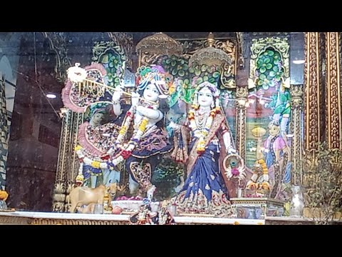 Morning Lecture By HG Adi Karta Prabhu Ji