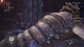 モンハンワールド気ままに倒す！！！！！