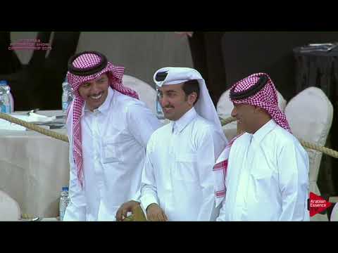 N 184 ZUHAYR AL SHAQAB   21st Qatar National 2018   Yearling Colts Class 6A