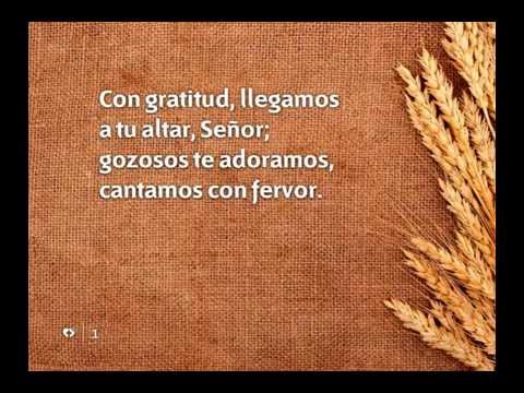 525 CON GRATITUD, LLEGAMOS