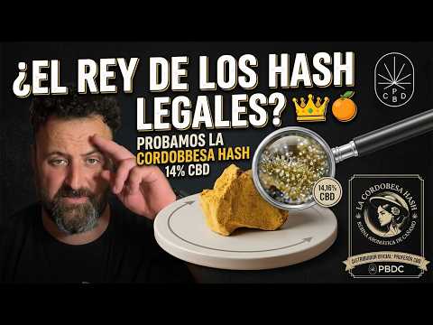 ¿EL REY DE LOS HASH LEGALES? 👑 Probamos La Cordobesa Hash con 14% de CBD