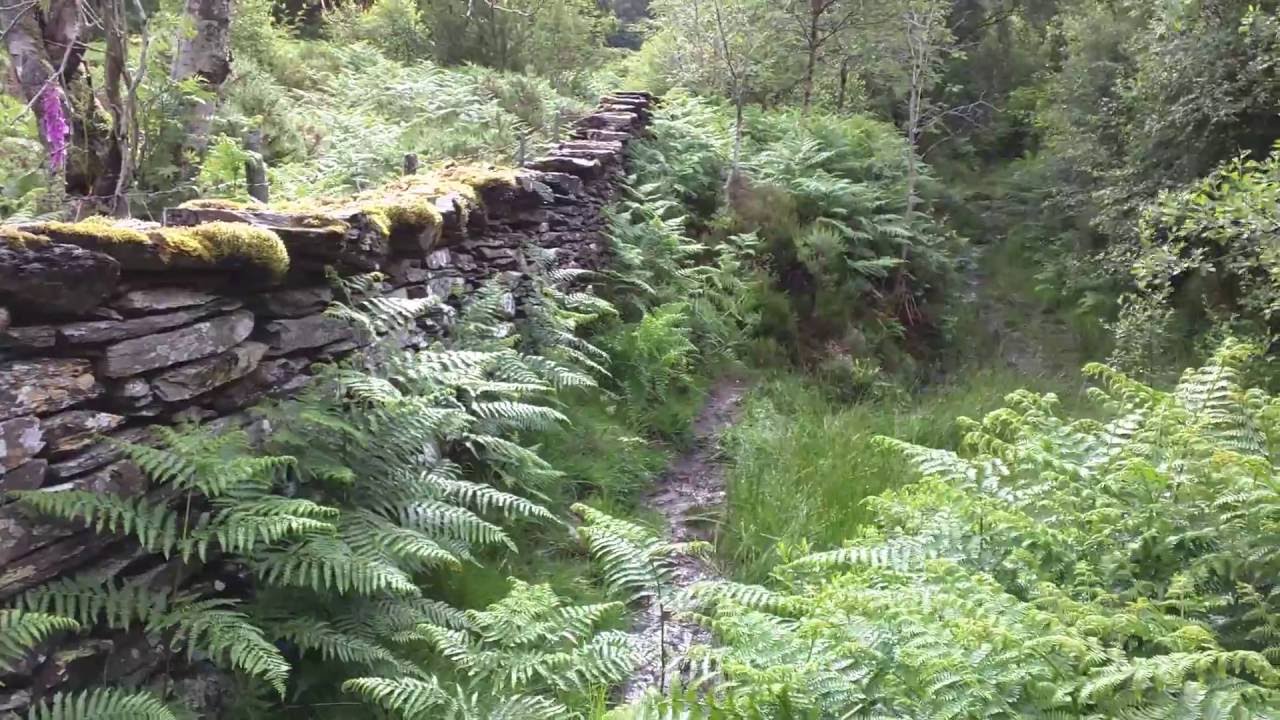 Watch video Part of Walks Around Betws-y-coed by David Berry Now Part of Walks Around Betws-y-coed by David Berry
