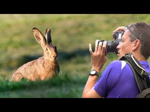 ANGEPIRSCHT - Der Feldhase  🐇 - Neues vom Tierfilmer