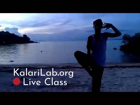 Kalaripayattu Training by KalariLab - Live Class for Central & South American Students