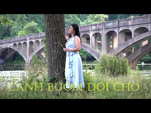 Cánh bướm đợi chờ - Ái Vy