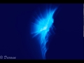 Dominik Eulberg - Mikroorgasmen Im Morgentau (Original Mix)