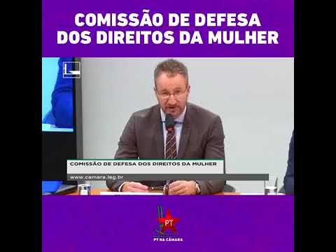 COMISSÃO DE DEFESA DOS DIREITOS DA MULHER SEMINÁRIO DEBATE "AS MULHERES NA POLÍTICA"