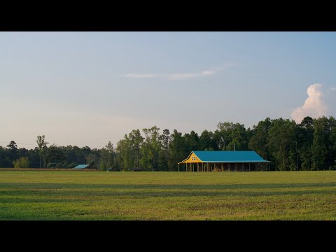 Zion West: 77.1 +/- Acre Wing-Shooter's Dream In Walterboro, South Carolina!