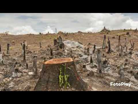 écologie.     official ouew13.   Afro studio prod.