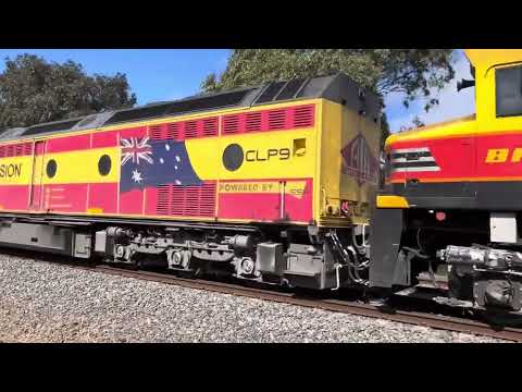 Up 7962V SSR grain with CLF3-BRM002-CLP9.