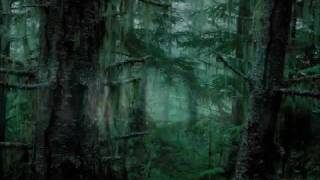 Celtas Cortos - Lluvia En Soledad