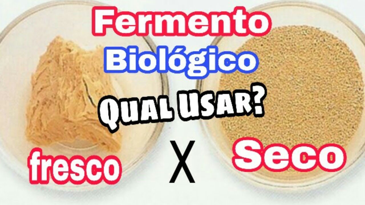 Fermento BIOLÓGICO Qual USAR - Fresco ou Seco?