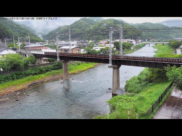 河津町の河津桜
