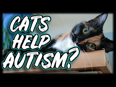 Can Cats Help Autistic People