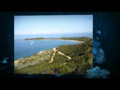 Elezioni Comunali di Olbia