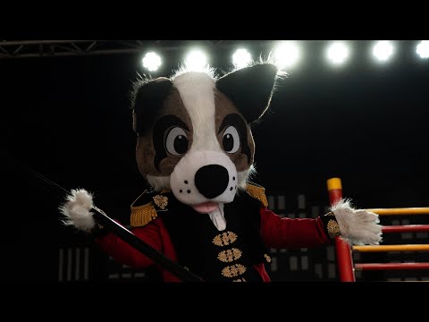 Dogs Do Magic Demo 2