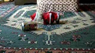 "What a crazy christmas!?" vol.3