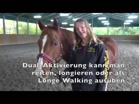 Dual-Aktivierung: Die Stangen-Gasse (oder auch Cavaletti-Gasse)