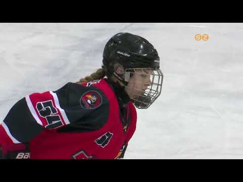 Elveszítették középszakaszbeli veretlenségüket a Szombathelyi Pingvinek