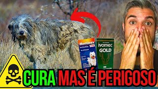 REVELADO! Cachorro Pode Tomar IVERMECTINA - O VÍDEO MAIS COMPLETO
