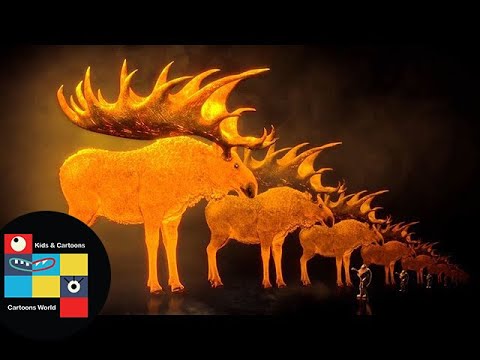 CGI 3D Animated Short Film - Stranded - By KC&G