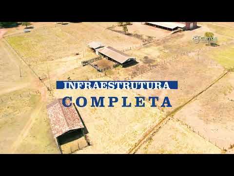 FAZENDA À VENDA EM FLORES DE GOIÁS - GO