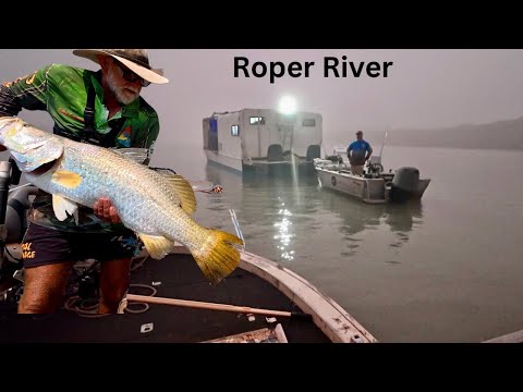 ROPER RIVER BIG BARRAMUNDI NORTHERN TERRITORY 