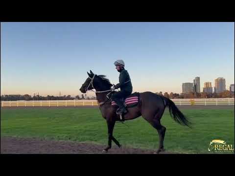 Netanyahu Update I 180723