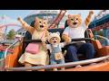 Ginger Kitten Travels Japan With Mama Cat ️ Prepare Goodbye Papa Cat Funny Cat Videos