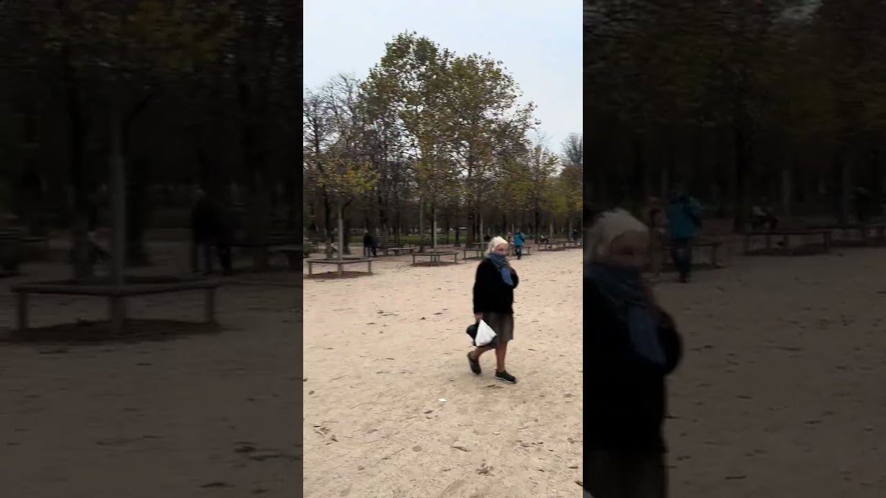 גני טווילרי - הליכה בשבילי הגנים היפים ביותר בפריז לצד עצים ואווירה קסומה