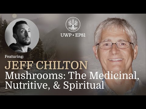 Universe Within Podcast Ep81 - Jeff Chilton - Mushrooms: The Medicinal, Nutritive, & Spiritual