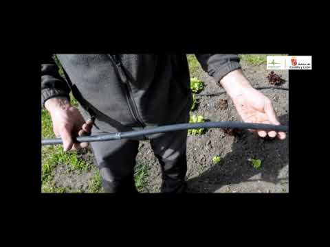 Huerto Ecológico - 10º Entrega - El Riego (parte 2)