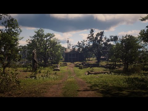 RDR2 | Every Camp Interactions | Chapter 4 (Rare Encounters)