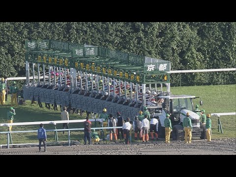2020 Kikuka Sho (Japanese St. Leger) (G1)