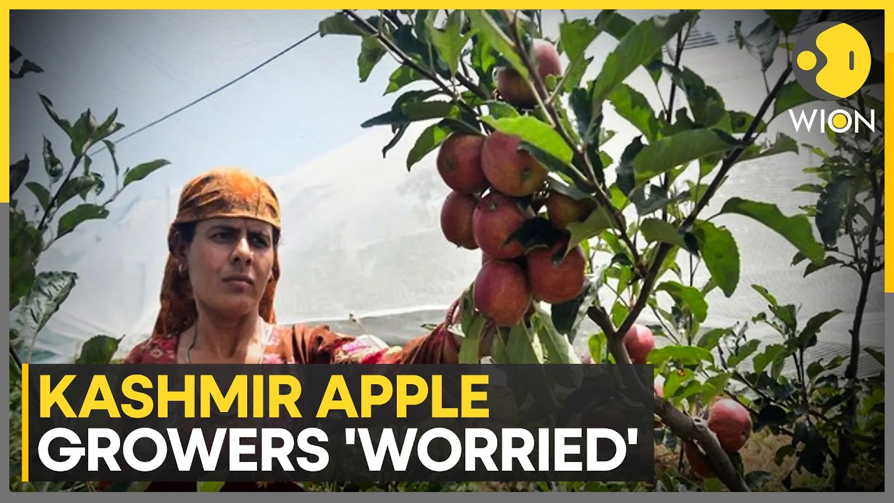 India-US Trade Deal: Kashmir Apple Growers Seek Clarity as Trade Deal Raises Concerns | WION News