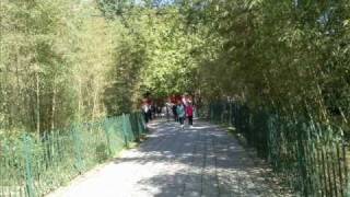 preview picture of video '도가사원(道家寺院,Taoist Temple)'