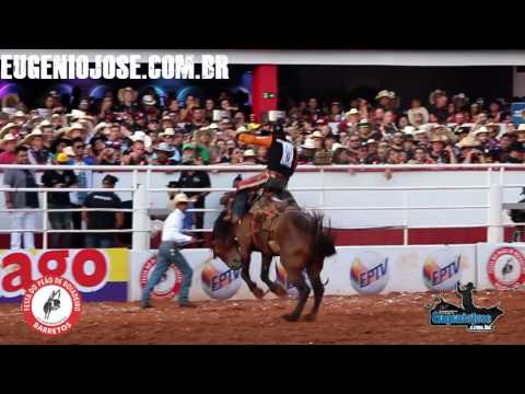 Cutiano Final 4th place Ari Piovesan 260.75 points Barretos Cowboy Festival 2016