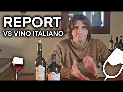 REPORT vs VINO ep.2: COSA SUCCEDE ORA ? 🍷🥂⚠️